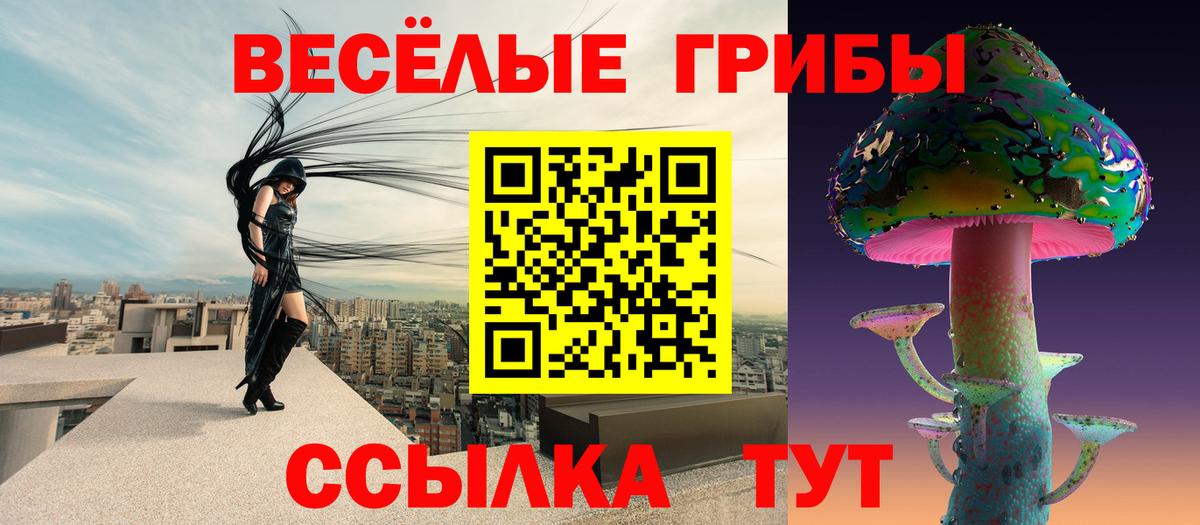 Выкса  Галлюциногенные грибы мицелий  Вход с VPN 